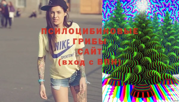 гидра Алзамай